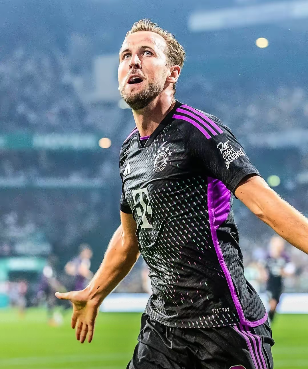 爱游戏电子 凯恩拿过什么冠军 